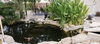 The Koi House Georgetown: 35 Minutes from Downtown Austin and Airport