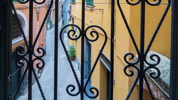 A view through a wrought iron gate with a narrow street and buildings in the background.
