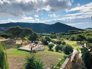 Niet-geclassificeerde afbeelding, 3 van 42, knop