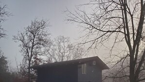 Een rustieke hut met een veranda, een kleine trap en een tuinpad er naartoe.
