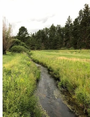 Ein schmaler Wasserlauf durch eine grasbewachsene Wiese, im Hintergrund Bäume.