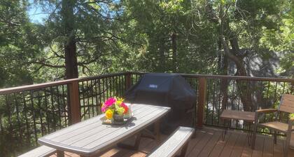 Honey Pine Lodge. Cozy cabin in Lake Arrowhead.  Two dogs welcome.