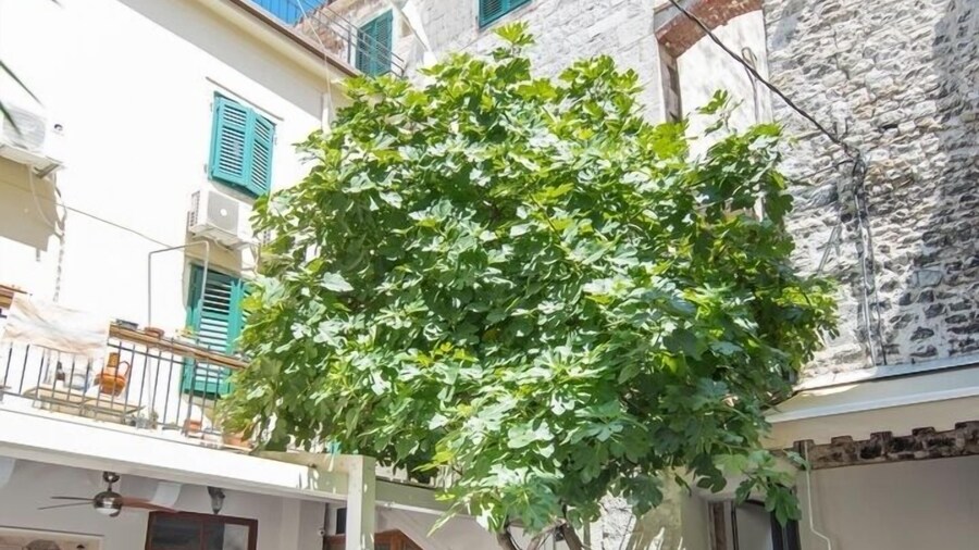 Makarun Heritage Rooms