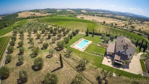 Vista aerea di un vigneto con filari di alberi e un’area piscina.
