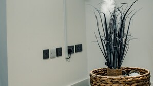 A modern interior with a mounted flat-screen TV displaying a streaming service interface, a woven side table with a decorative plant, and a clean, minimalist wall design. - Bv Cosy Basement Apartment At Conditioning House (Bradford)
