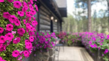 Área da propriedade