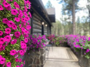 Overnatningsstedets område