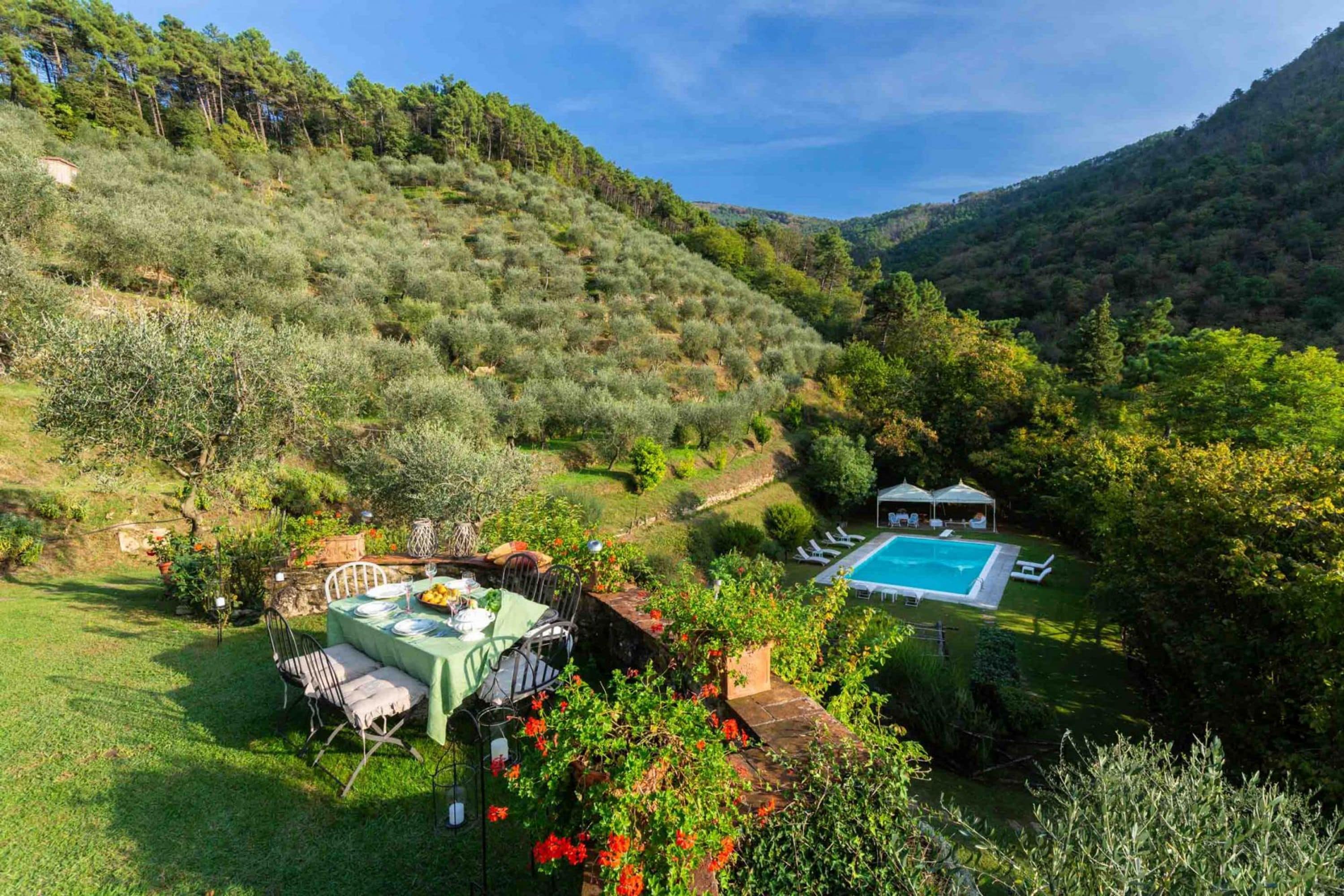 A lush garden with a dining table and chairs, a swimming pool, and a hill with dense vegetation.