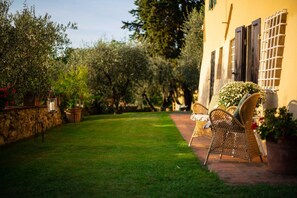 A garden with a paved path, wicker chairs, and a potted plant.