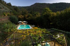 A pool with lounge chairs, a gazebo, and a vineyard in the foreground. - Casa Nel Bosco in Santa Maria del Giudice (Lucca)