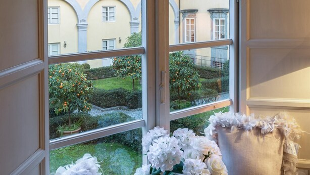 Una ventana con vistas a un patio lleno de naranjos y flores blancas.