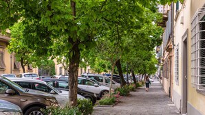 A tree-lined cobblestone street with parked cars and buildings on either side. - Casa Monique in Lucca (Lucca)
