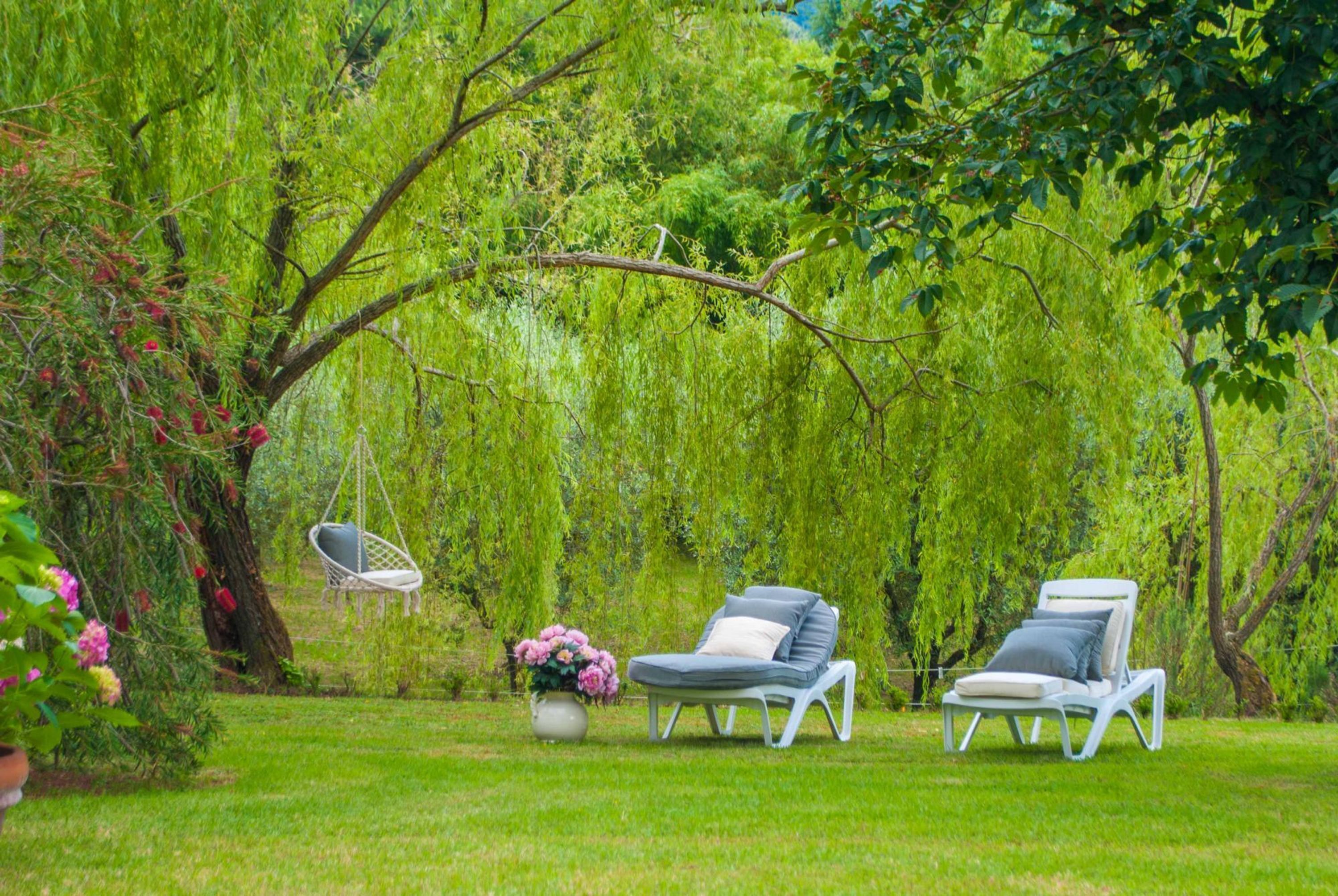 A garden with two lounge chairs, a hanging chair, and a potted plant.