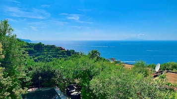 Piscina rodeada por vegetação exuberante, com vista para a costa, o mar e montanhas ao longe.