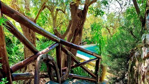A rustic wooden staircase with a metal railing, surrounded by lush greenery and trees. - Casa Tatano in Massa Lubrense (Massa Lubrense)