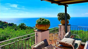 A balcony with a view of the sea, a potted plant, and a chair with cushions. - Casa Tatano in Massa Lubrense (Massa Lubrense)
