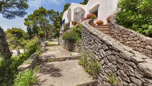 Un edificio blanco con escalones y muro de piedra, rodeado de follaje y árboles.