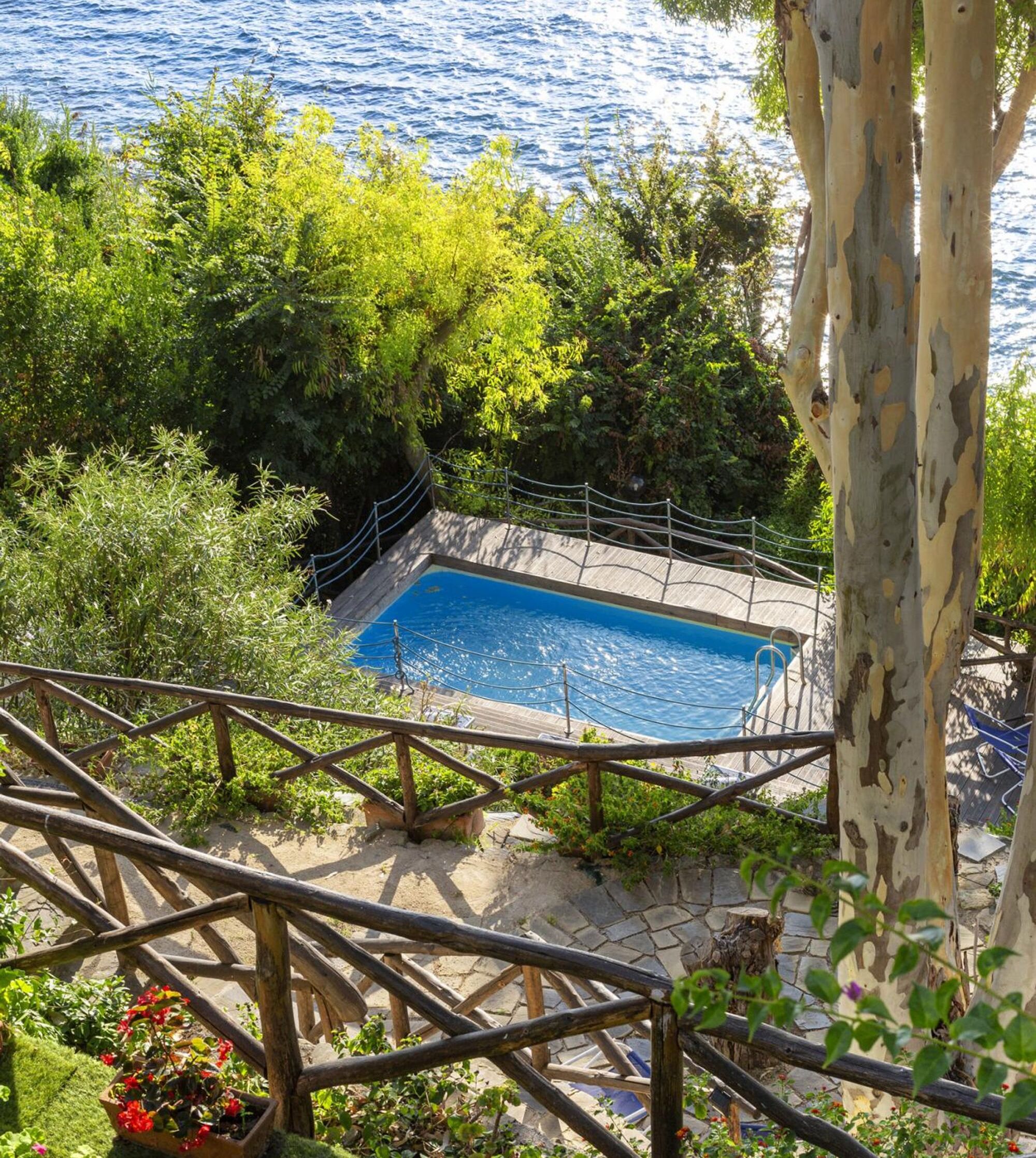 A pool surrounded by lush greenery and a wooden deck with a metal railing.