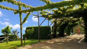A stone-paved pathway with a pergola covered in green vines, leading to a building with a thatched roof. - Villa Raffaella in Sant Agata sui Due Golfi (Massa Lubrense)