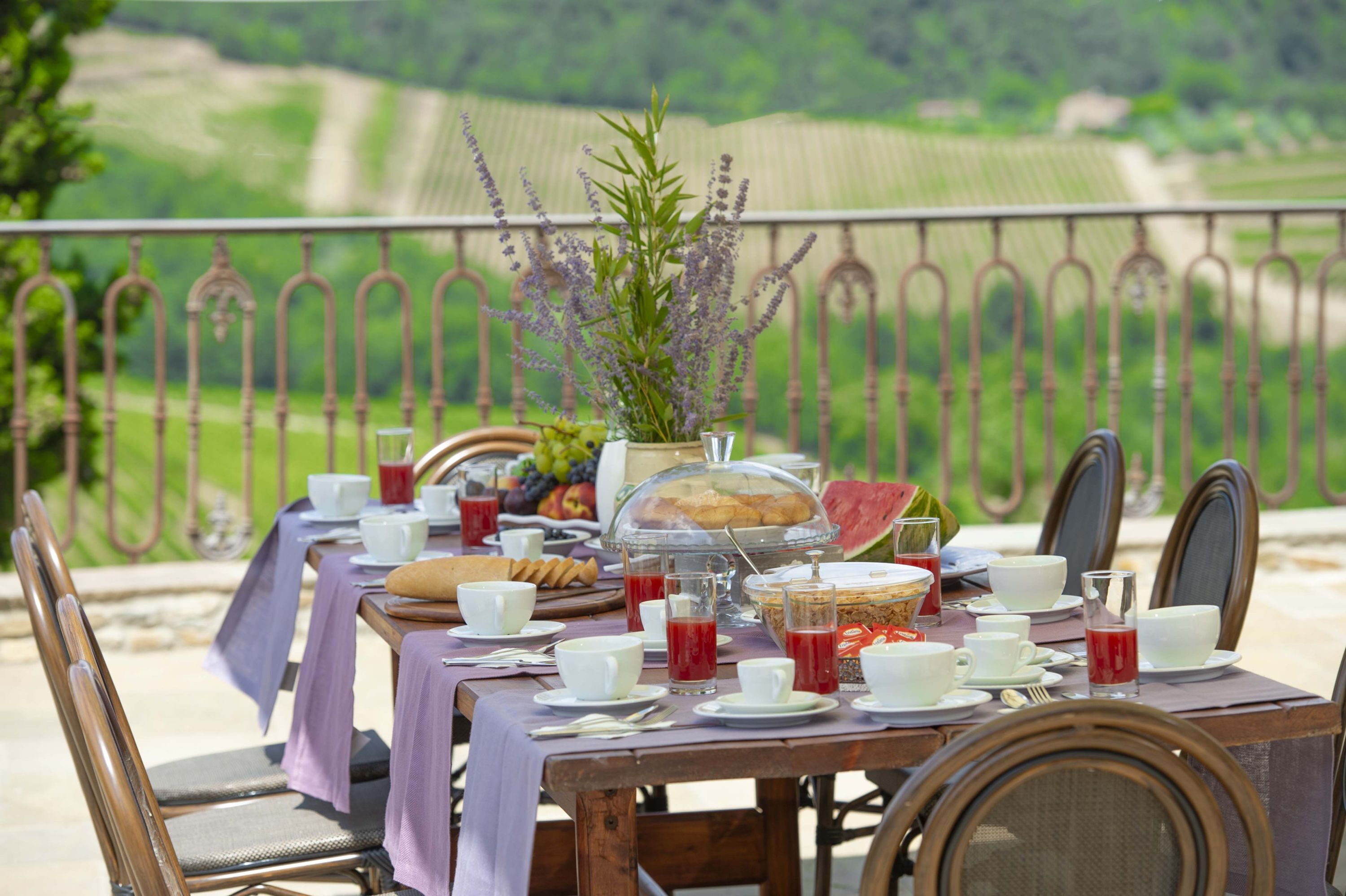 An outdoor dining table set with breakfast items, surrounded by chairs, with a scenic view of fields in the background.