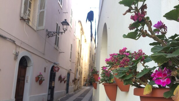 Una calle estrecha flanqueada por edificios, con macetas y un camino adoquinado.