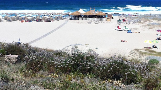 Una playa con una fila de sombrillas, una cabaña de playa y una torre de salvavidas.