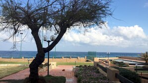 Un sendero bordeado de árboles que conduce a una playa, con vista despejada al océano.
