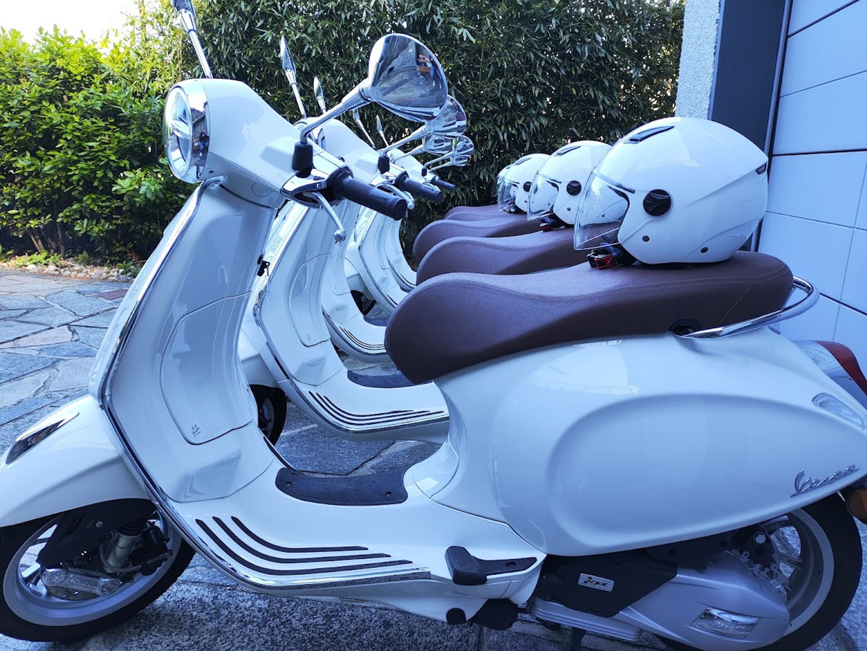 A row of white scooters parked outside, with a building in the background.