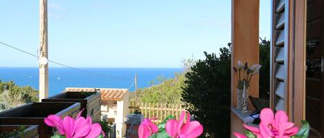 Ferienhaus | 1 Schlafzimmer