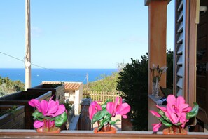 House | 1 bedroom - Casa Cipro 1 Bedrooms Apartment in Lu Bagnu (Castelsardo)