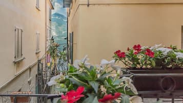 A balcony with potted plants and a view of a mountain.