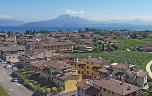 A residential area with houses, a road, and a vineyard.