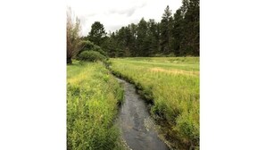 A narrow water channel in a grassy field with trees in the background.