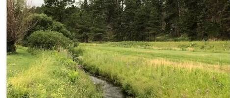 A narrow water channel in a grassy field with trees in the background.