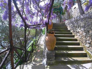 Villa | 2 bedrooms, iron/ironing board - Villa With Terrace and sea View in Ravello ID 3196 (Ravello)