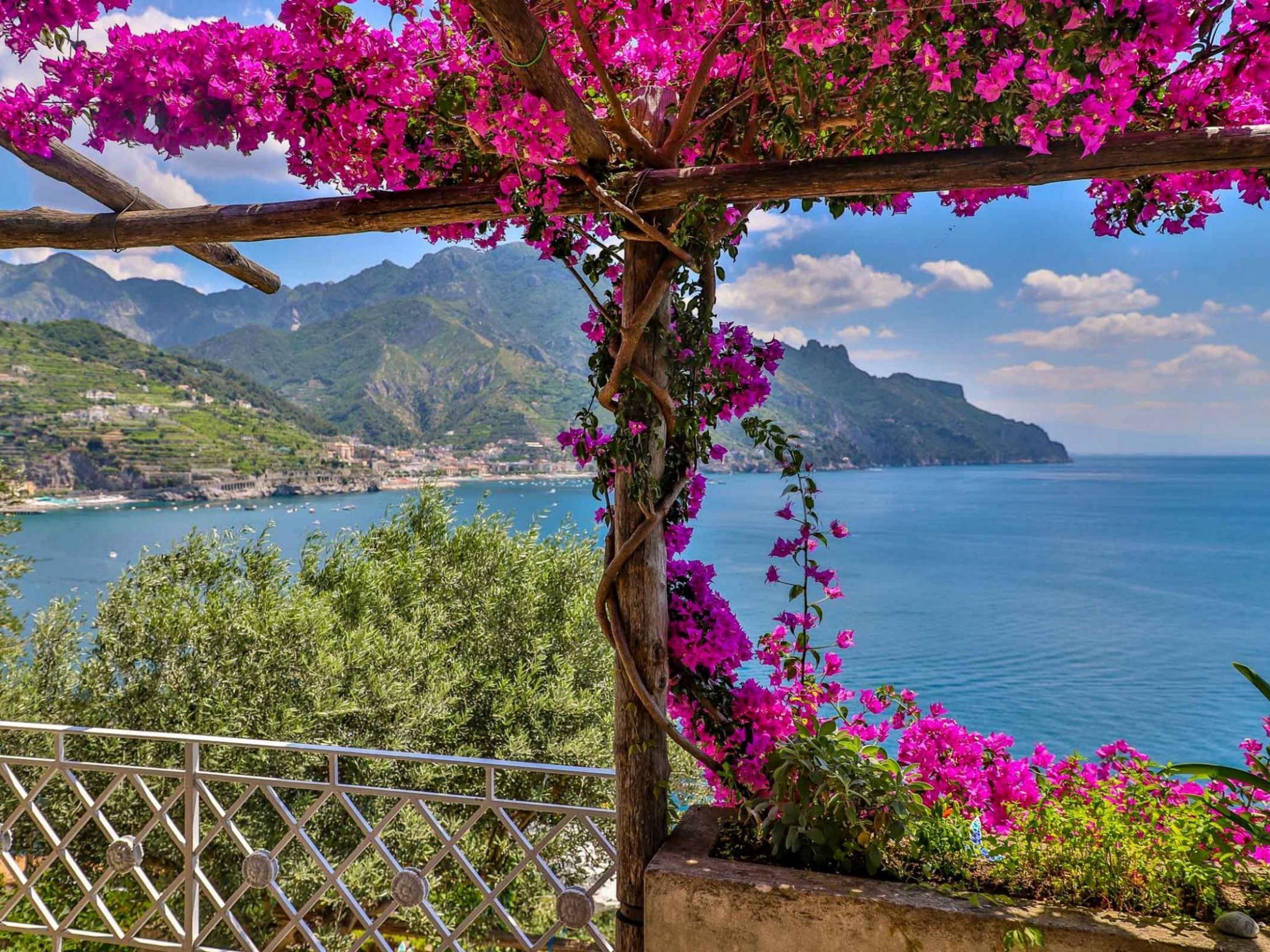 Vista costera con una pérgola cubierta de flores rosas vibrantes, con vistas al mar, barcos y un paisaje montañoso.