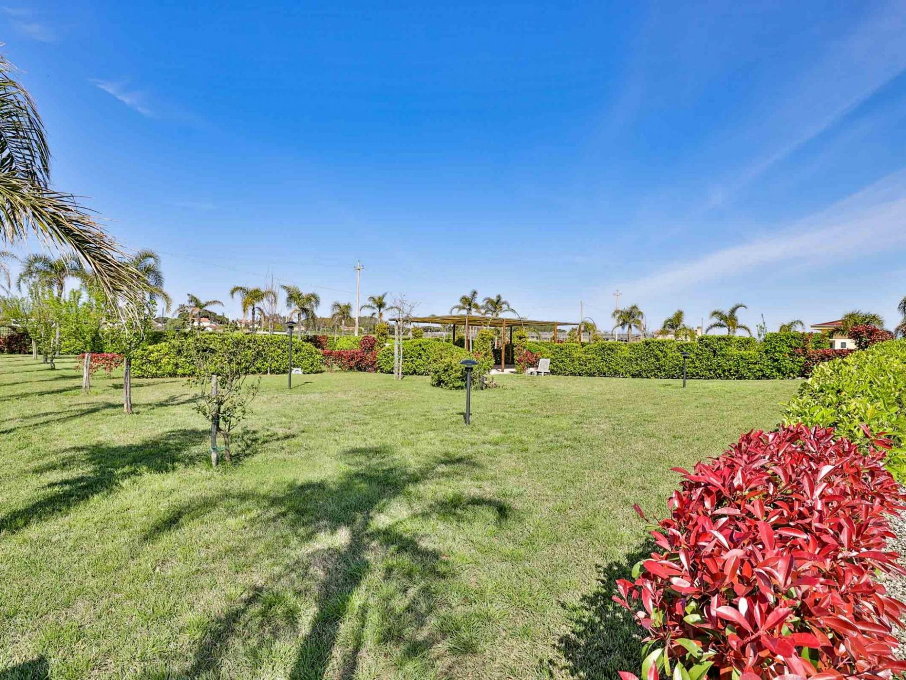 Een verzorgde tuin met een prieel, palmbomen en een helderblauwe lucht.