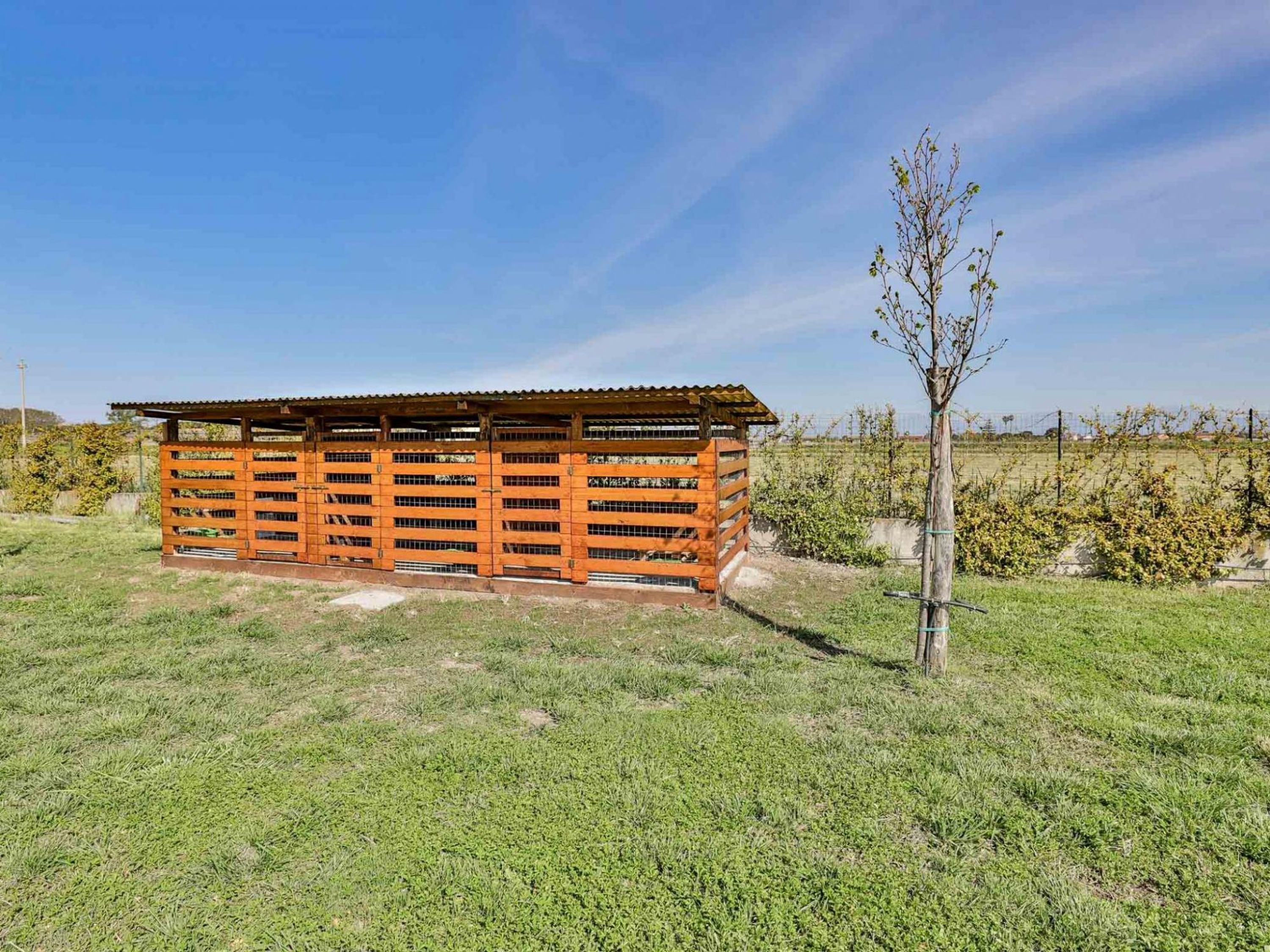 Une structure en bois dotée de plusieurs compartiments, qui pourrait être un abri de jardin ou un petit bâtiment, se trouve dans un champ herbeux sous un ciel dégagé.
