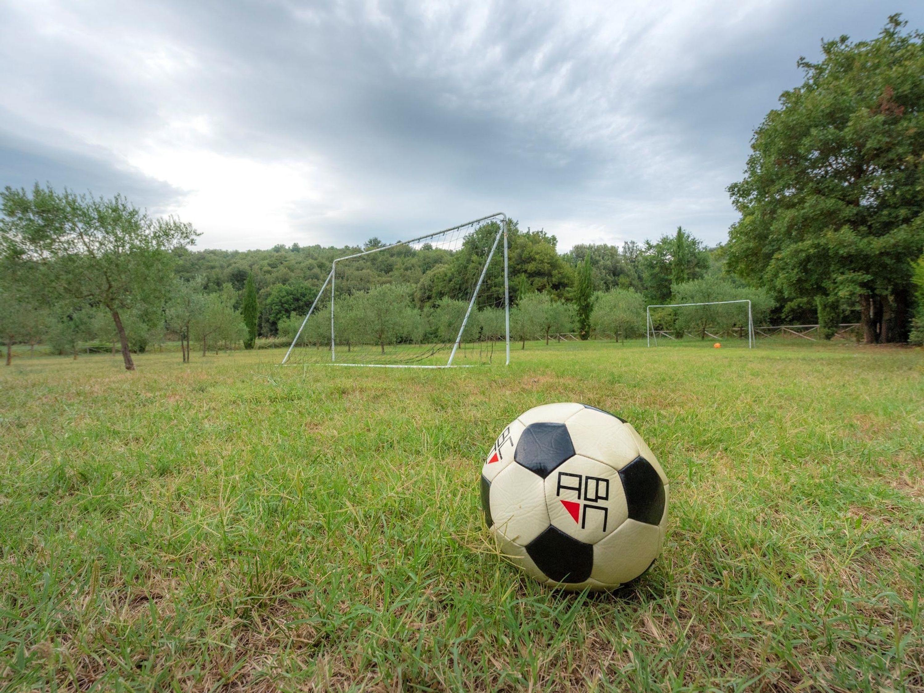 Un ballon de football sur un terrain herbeux, avec deux buts de football en arrière-plan.