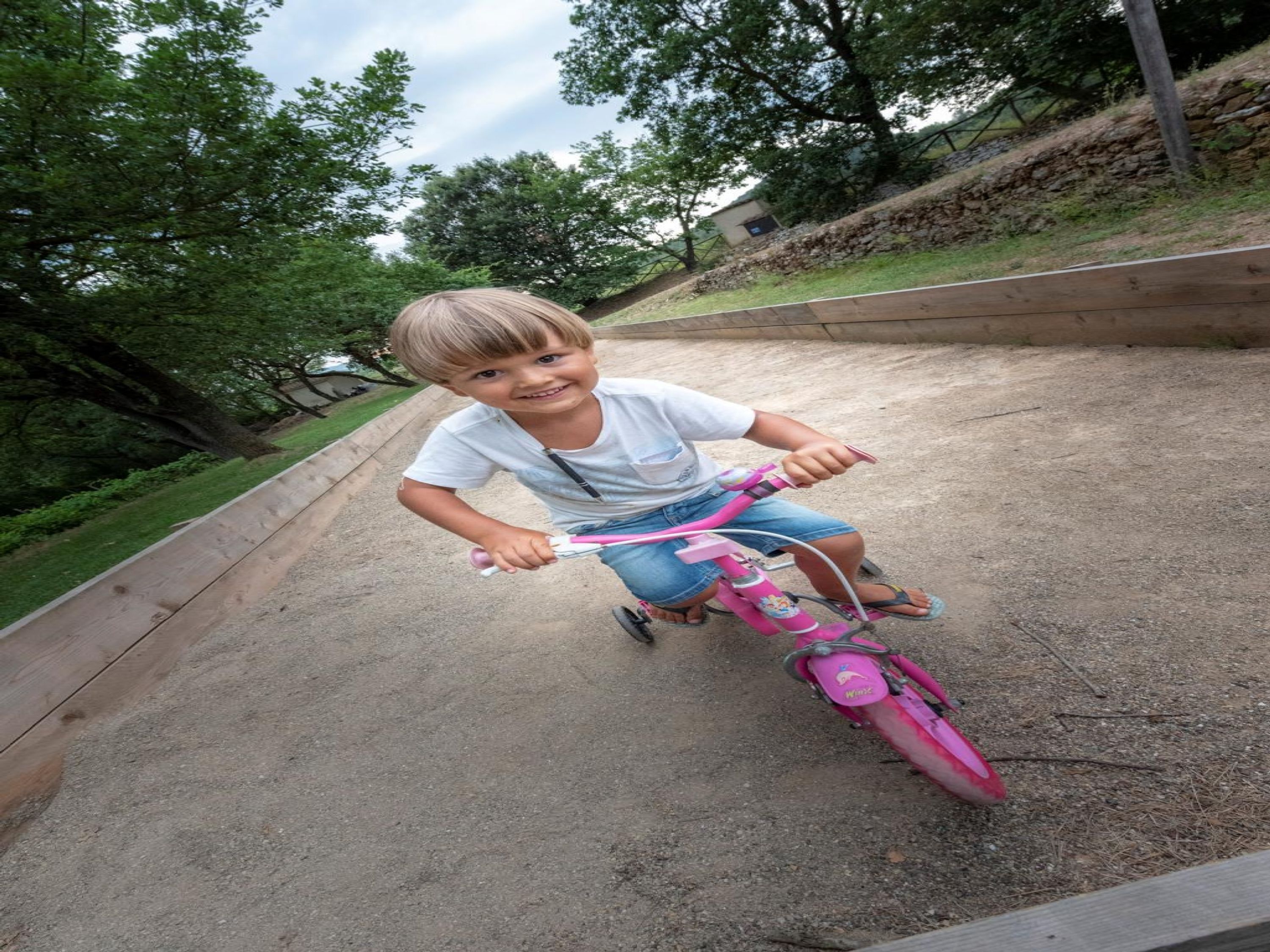 A child riding a pink bicycle on a paved path surrounded by greenery.