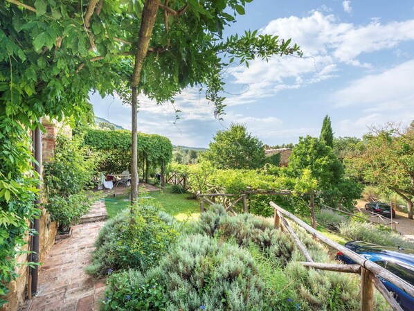 House | 2 bedrooms, iron/ironing board, WiFi - Apartment in Chianti With Pool ID 453 (Casole d'Elsa)