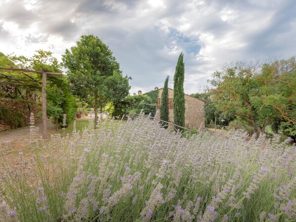 Un jardín con campos de lavanda, un edificio de piedra y árboles altos.