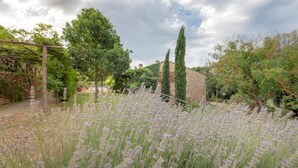 A garden with lavender fields, a stone building, and a pergola. - Apartment in Chianti With Pool ID 455 (Casole d'Elsa)