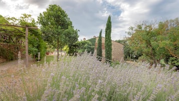 Casa | 2 camere, ferro/asse da stiro