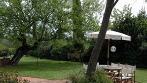 Un espace patio aménagé avec une table et des chaises sous une pergola, entouré d’une végétation luxuriante et d’arbres.