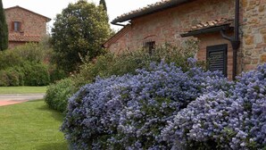 Un bâtiment en pierre avec un mur en briques recouvert de fleurs violettes.