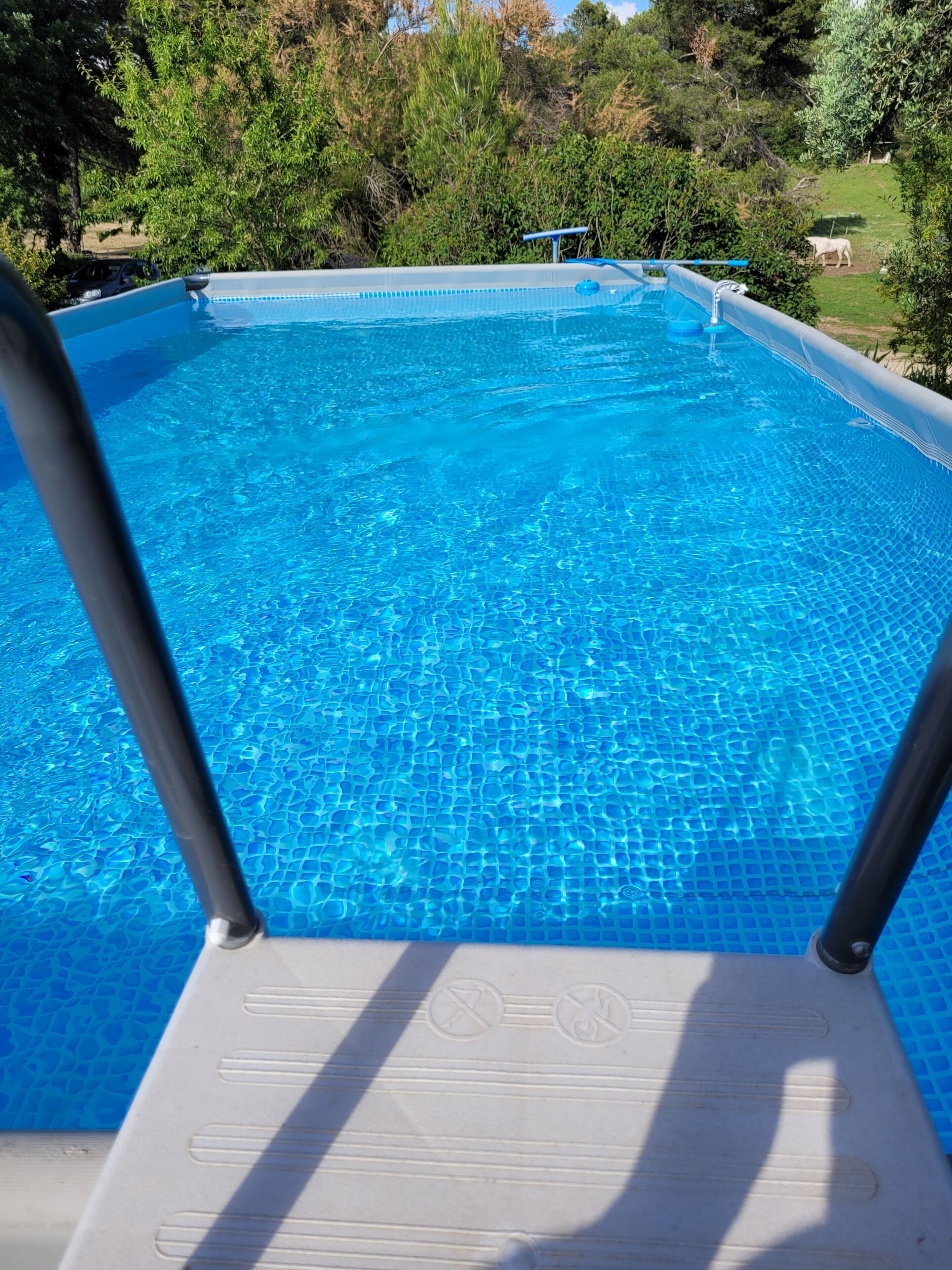 Una piscina al aire libre
