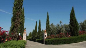 A pathway leading to a gated entrance with tall cypress trees and red flowers on either side. - Country House in Chianti With Pool ID 33 (Montaione)
