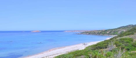 Apartment | 1 Schlafzimmer