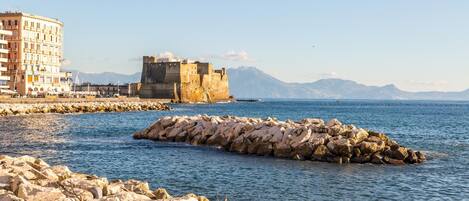 Apartment | 1 bedroom